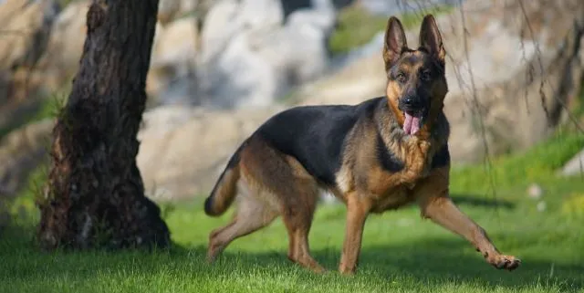 Imagen cabecera post