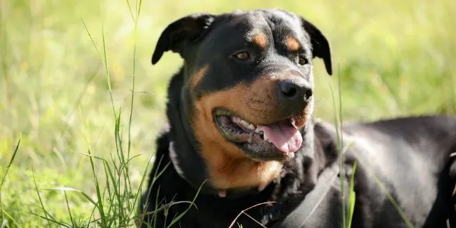 Imagen cabecera post