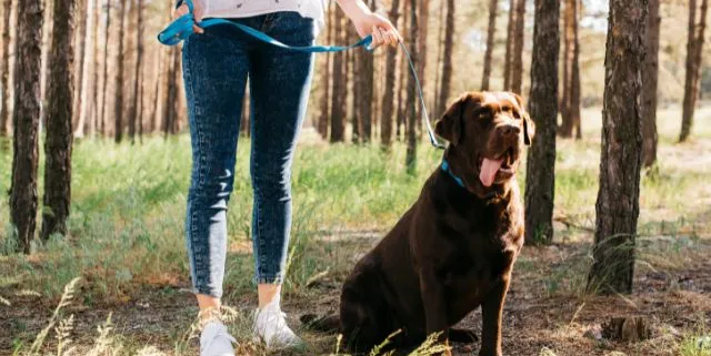 Imagen cabecera post