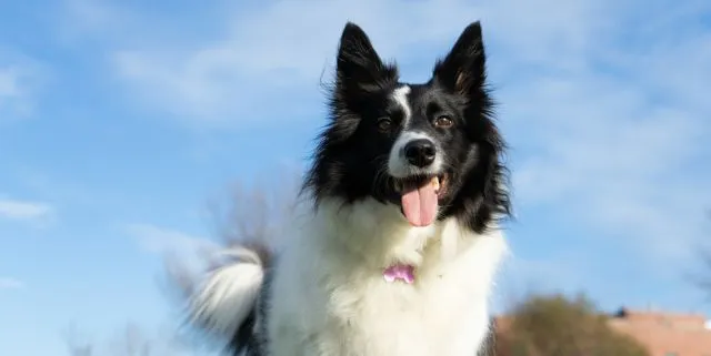 Imagen cabecera post