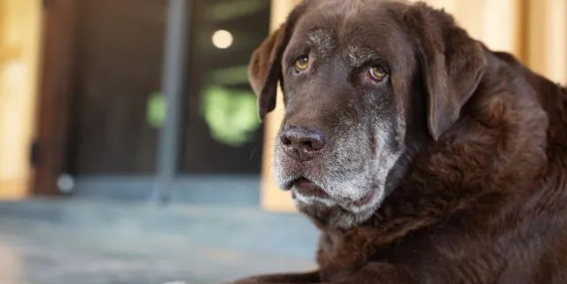 Imagen cabecera post