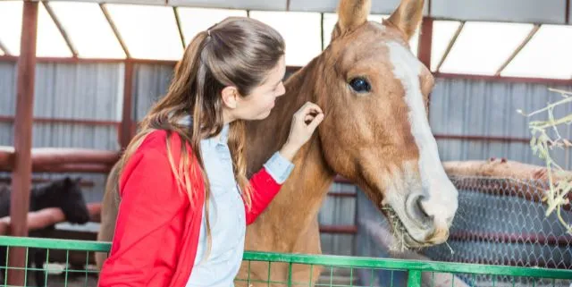 Imagen cabecera post