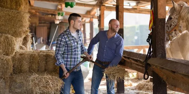 Imagen cabecera post