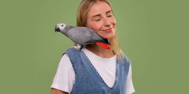 Imagen cabecera post