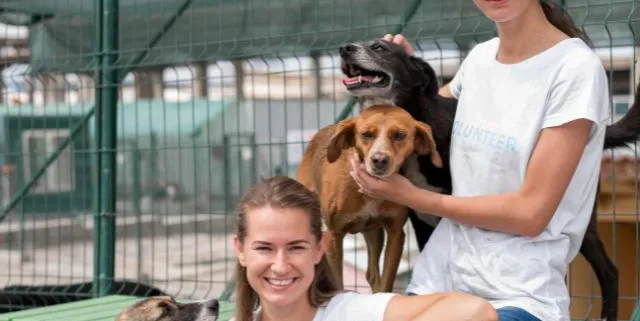 Imagen cabecera post