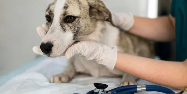 Imagen cabecera post