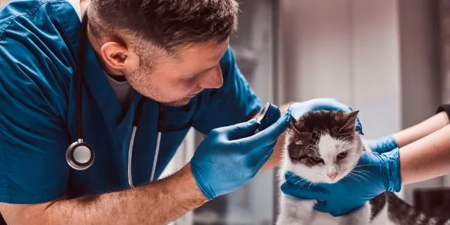 Imagen cabecera post