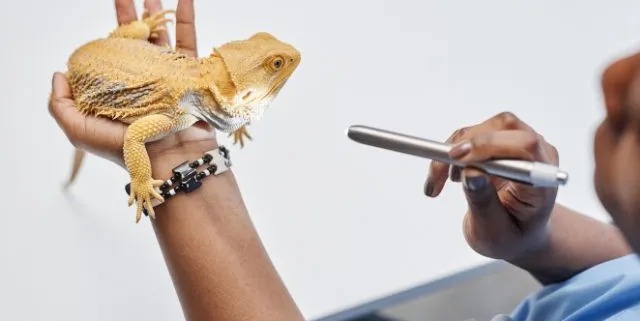 Imagen cabecera post