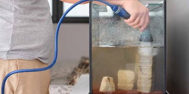 Imagen cabecera post