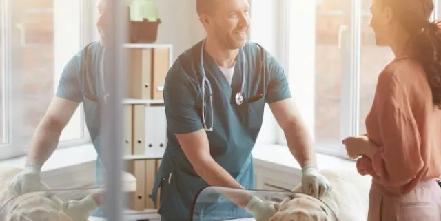 Imagen cabecera post