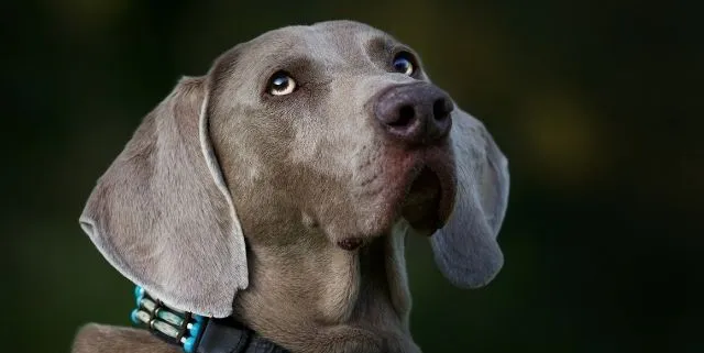 Imagen cabecera post