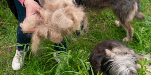 Imagen cabecera post