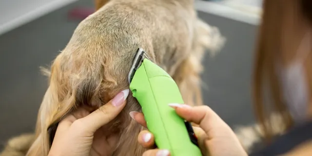 Imagen cabecera post