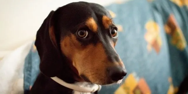 Imagen cabecera post