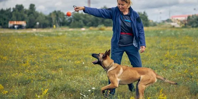 Imagen cabecera post