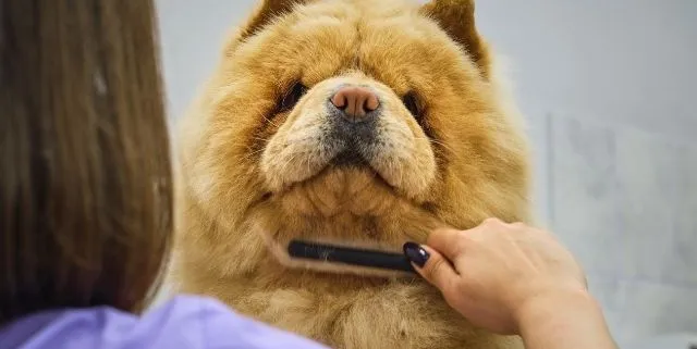 Imagen cabecera post