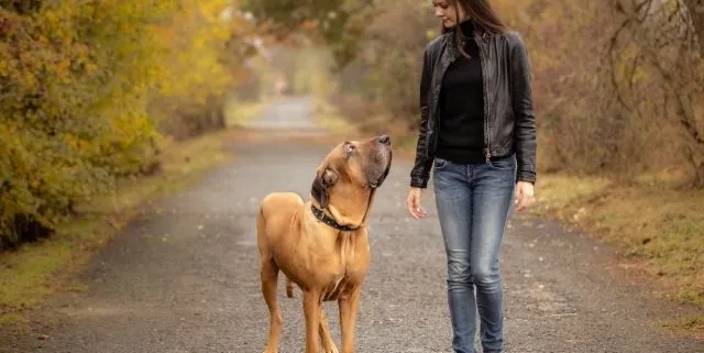 Imagen cabecera post