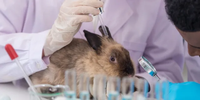 Imagen cabecera post