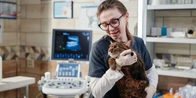 Imagen cabecera post