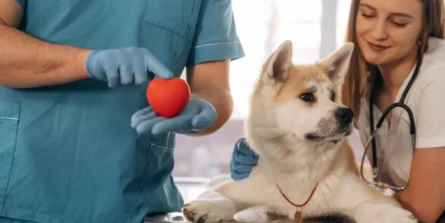 Imagen cabecera post