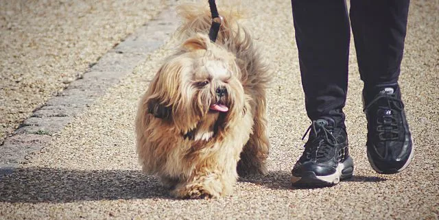 Imagen cabecera post