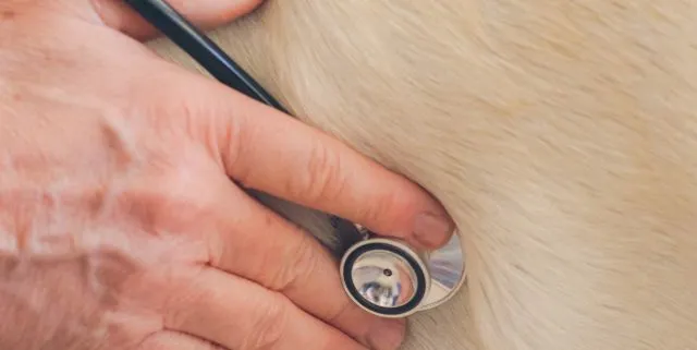 Imagen cabecera post