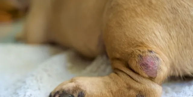 Imagen cabecera post