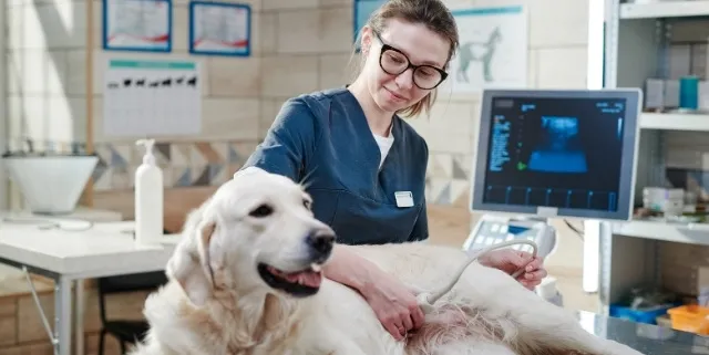 Imagen cabecera post