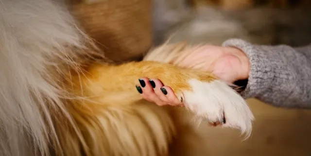 Imagen cabecera post