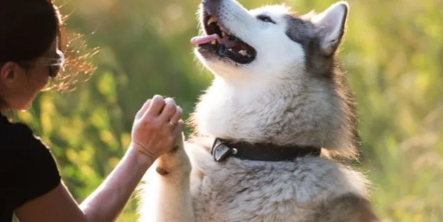 Imagen cabecera post