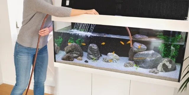 Imagen cabecera post