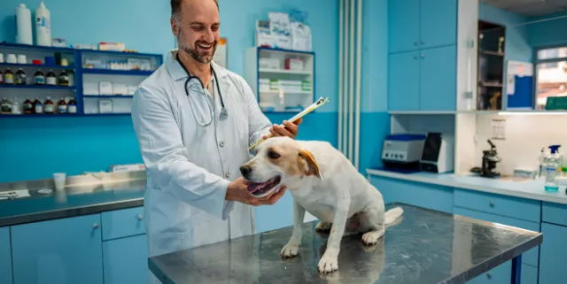 Imagen cabecera post