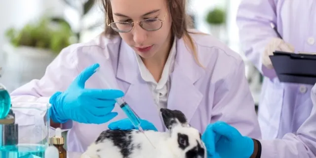 Imagen cabecera post