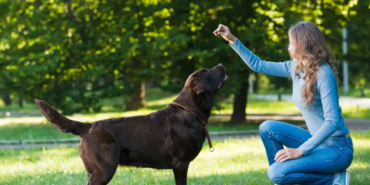 Imagen cabecera post