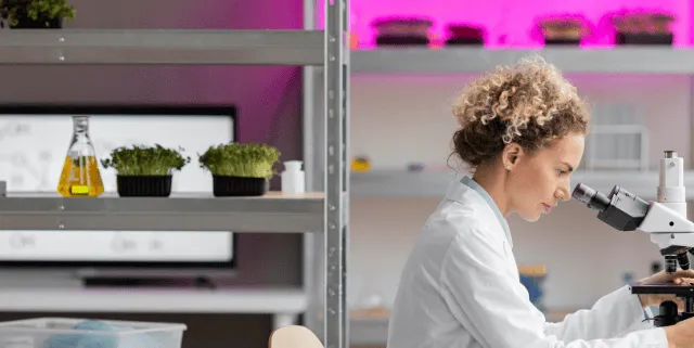 Imagen cabecera post