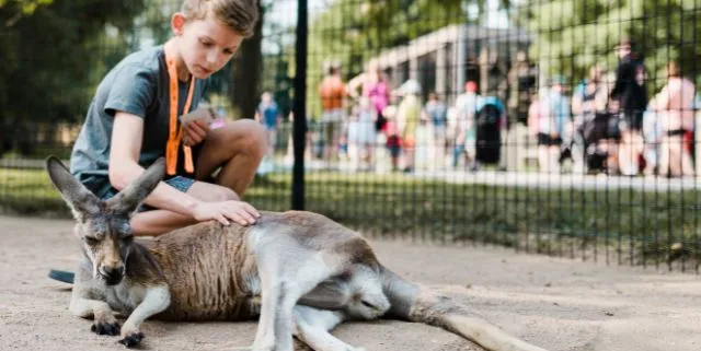 Imagen cabecera post