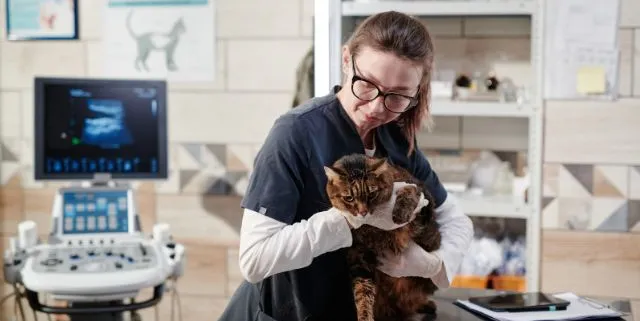 Imagen cabecera post