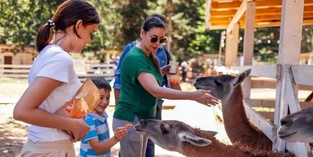 Imagen cabecera post