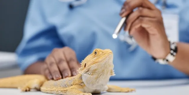 Imagen cabecera post