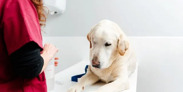 Imagen cabecera post