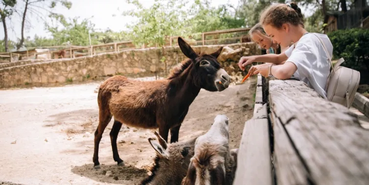 Imagen cabecera post