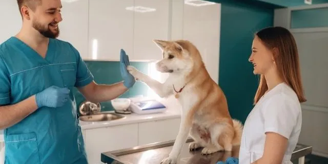 Imagen cabecera post