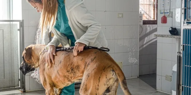 Imagen cabecera post