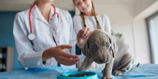 Imagen cabecera post