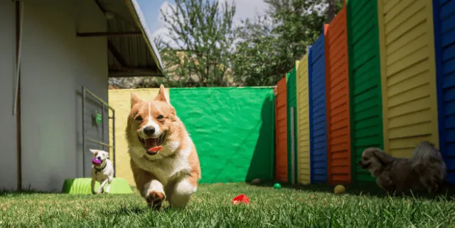 Imagen cabecera post