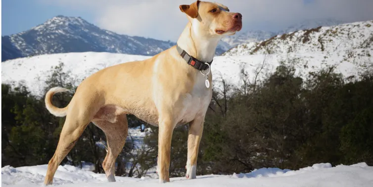 Imagen cabecera post