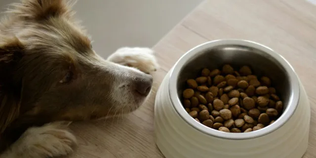 Imagen cabecera post