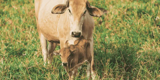 Imagen cabecera post