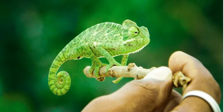 Imagen cabecera post