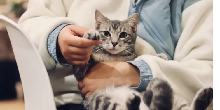 Imagen cabecera post